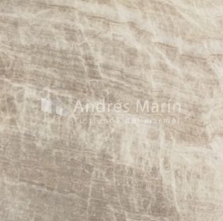 Taj Mahal1 Taj Mahal1